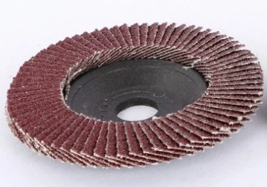 flap disc with plastic cover